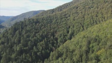 This stock footage shows aerial view of the mountain landscape of the Carpathians, Ukraine in 8K resolution