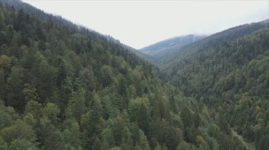 This stock footage shows aerial view of the mountain landscape of the Carpathians, Ukraine in 8K resolution