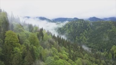 This stock footage shows aerial view of the mountain landscape of the Carpathians, Ukraine in 8K resolution