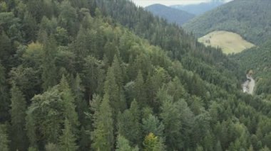 This stock footage shows aerial view of the mountain landscape of the Carpathians, Ukraine in 8K resolution