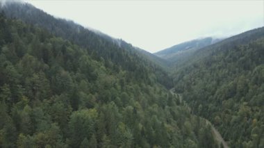 This stock footage shows aerial view of the mountain landscape of the Carpathians, Ukraine in 8K resolution