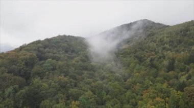 This stock footage shows aerial view of the mountain landscape of the Carpathians, Ukraine in 8K resolution