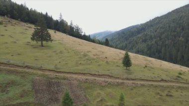 This stock footage shows aerial view of the mountain landscape of the Carpathians, Ukraine in 8K resolution