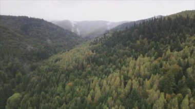 This stock footage shows aerial view of the mountain landscape of the Carpathians, Ukraine in 8K resolution