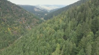 This stock footage shows aerial view of the mountain landscape of the Carpathians, Ukraine in 8K resolution