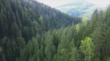 This stock footage shows aerial view of the mountain landscape of the Carpathians, Ukraine in 8K resolution