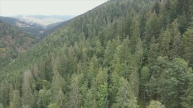 This stock footage shows aerial view of the mountain landscape of the Carpathians, Ukraine in 8K resolution