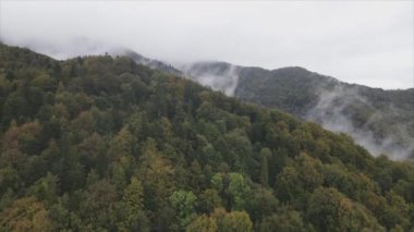 This stock footage shows aerial view of the mountain landscape of the Carpathians, Ukraine in 8K resolution