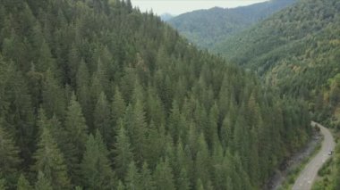 This stock footage shows aerial view of the mountain landscape of the Carpathians, Ukraine in 8K resolution
