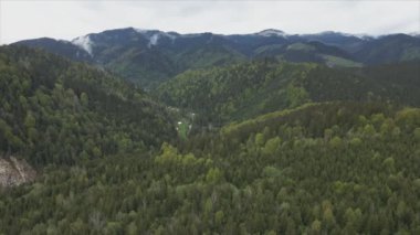 This stock footage shows aerial view of the mountain landscape of the Carpathians, Ukraine in 8K resolution