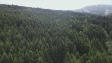 This stock footage shows aerial view of the mountain landscape of the Carpathians, Ukraine in 8K resolution