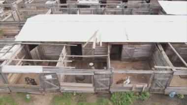 This stock footage shows an aerial view of a dog shelter in 8K resolution