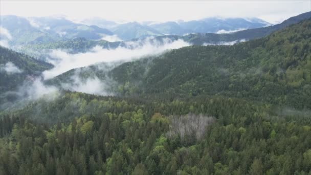 Stock Footage Shows Aerial View Mountain Landscape Carpathians Ukraine Resolution — Videoclip de stoc