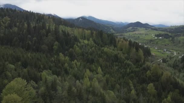 Кадри Показують Повітряний Вигляд Гірських Ландшафтів Карпат Україна Роздільною Здатністю — стокове відео