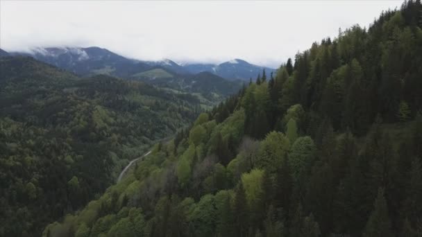 Stock Footage Shows Aerial View Mountain Landscape Carpathians Ukraine Resolution — 图库视频影像