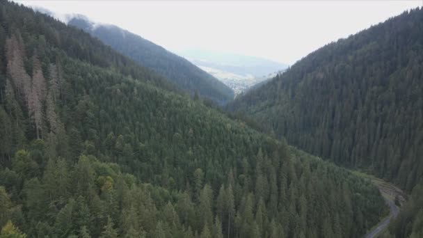 Stock Footage Shows Aerial View Mountain Landscape Carpathians Ukraine Resolution — Stock videók