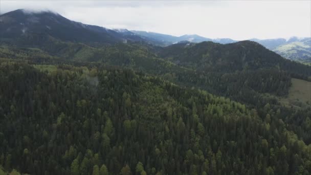 Stock Footage Shows Aerial View Mountain Landscape Carpathians Ukraine Resolution — Stok video