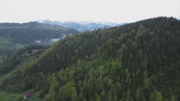 Stock Footage Shows Aerial View Mountain Landscape Carpathians Ukraine Resolution — Stockvideo