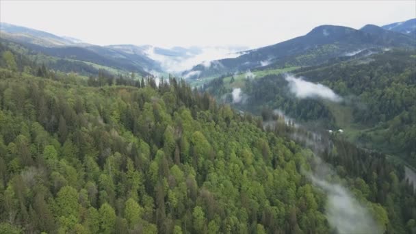 Stock Footage Shows Aerial View Mountain Landscape Carpathians Ukraine Resolution — 비디오