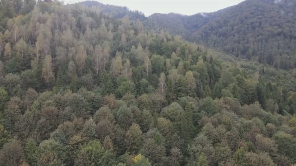 Stock Footage Shows Aerial View Mountain Landscape Carpathians Ukraine Resolution — Vídeo de stock