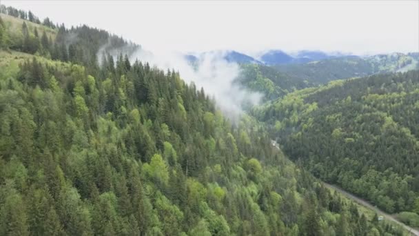 Stock Footage Shows Aerial View Mountain Landscape Carpathians Ukraine Resolution — Vídeos de Stock