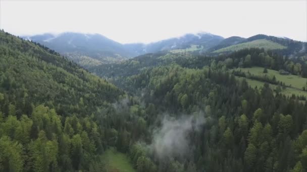 Stock Footage Shows Aerial View Mountain Landscape Carpathians Ukraine Resolution — Videoclip de stoc