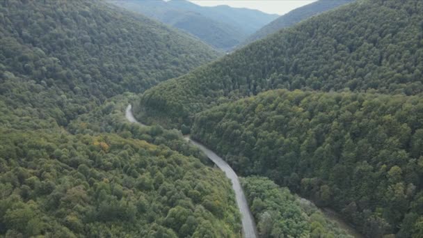 Αυτό Υλικό Δείχνει Εναέρια Άποψη Του Ορεινού Τοπίου Των Καρπαθίων — Αρχείο Βίντεο