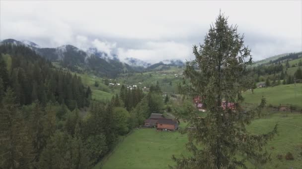 Αυτό Υλικό Δείχνει Εναέρια Άποψη Ενός Μικρού Χωριού Στο Δάσος — Αρχείο Βίντεο