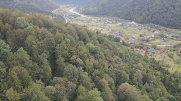 Αυτό Υλικό Δείχνει Εναέρια Άποψη Ενός Μικρού Χωριού Στο Δάσος — Αρχείο Βίντεο