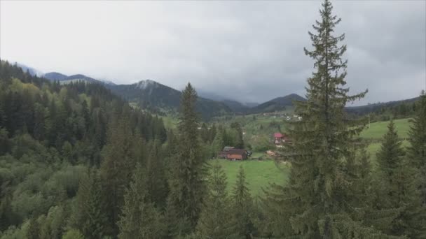 Stock Footage Shows Aerial View Small Village Forest Carpathians Ukraine — Vídeos de Stock