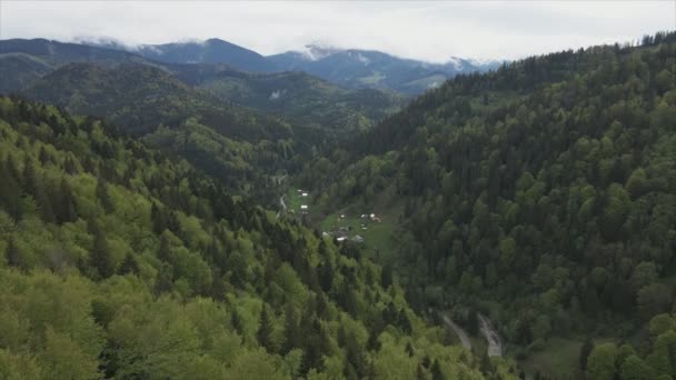 Stock Footage Shows Aerial View Small Village Forest Carpathians Ukraine — Vídeo de stock