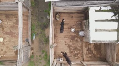 This stock footage shows an aerial view of a dog shelter in 8K resolution