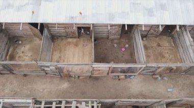 This stock footage shows an aerial view of a dog shelter in 8K resolution