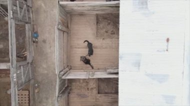 This stock footage shows an aerial view of a dog shelter in 8K resolution
