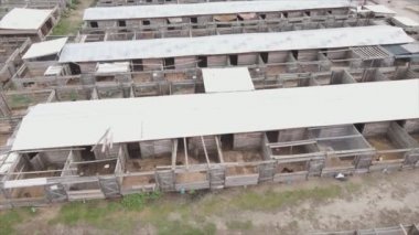 This stock footage shows an aerial view of a dog shelter in 8K resolution