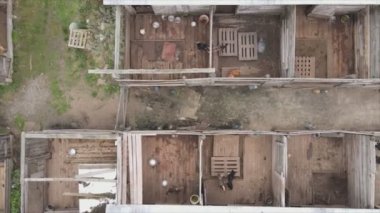 This stock footage shows an aerial view of a dog shelter in 8K resolution