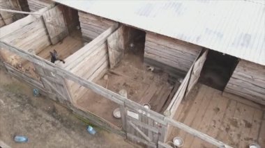 This stock footage shows an aerial view of a dog shelter in 8K resolution