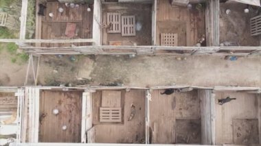 This stock footage shows an aerial view of a dog shelter in 8K resolution