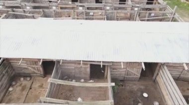 This stock footage shows an aerial view of a dog shelter in 8K resolution