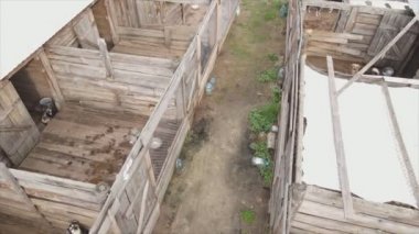 This stock footage shows an aerial view of a dog shelter in 8K resolution