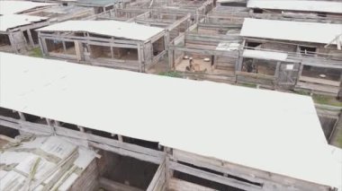 This stock footage shows an aerial view of a dog shelter in 8K resolution