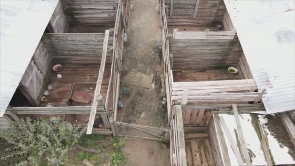 Stock Footage Shows Aerial View Dog Shelter Resolution — Vídeo de stock