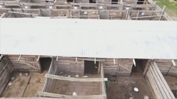 Stock Footage Shows Aerial View Dog Shelter Resolution — Wideo stockowe