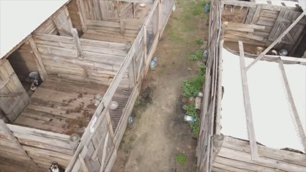 Stock Footage Shows Aerial View Dog Shelter Resolution — Stock videók