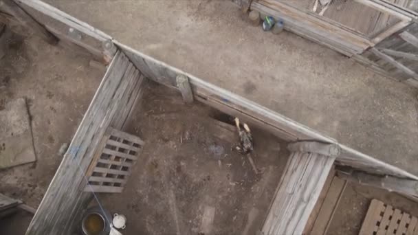 Stock Footage Shows Aerial View Dog Shelter Resolution — Vídeos de Stock
