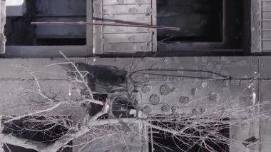 This stock vertical video shows the aftermath of the war in Ukraine - a destroyed residential building in Borodyanka, grey, flat video