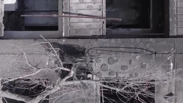 Stock Vertical Video Shows Aftermath War Ukraine Destroyed Residential Building — Wideo stockowe