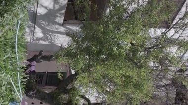 This stock vertical video shows the aftermath of the war in Ukraine - a destroyed residential building in Borodyanka, grey, flat video