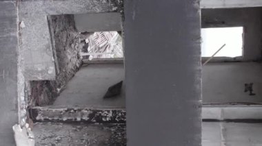 This stock vertical video shows the aftermath of the war in Ukraine - a destroyed residential building in Borodyanka, grey, flat video