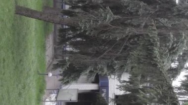 This stock vertical video shows the aftermath of the war in Ukraine - the destroyed and burned building of the police station in Borodyanka, Kyiv region, grey, flat video